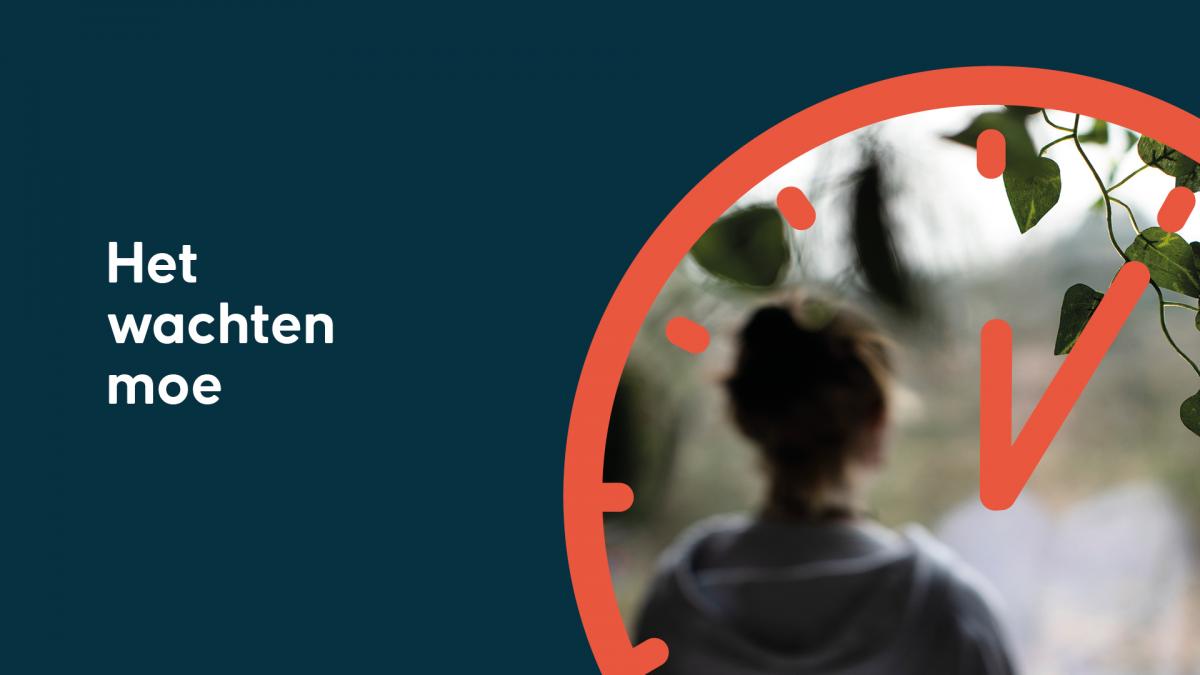 Cover van Het Wachten Moe